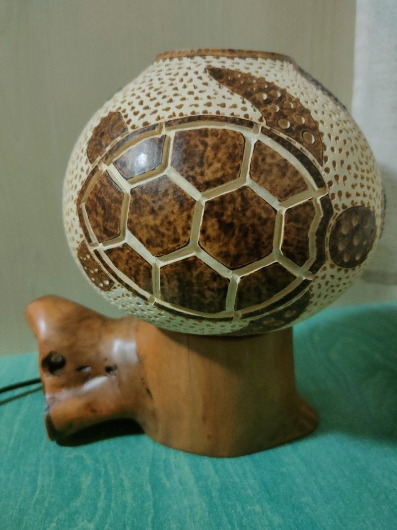 Lámpara de calabaza tortuga