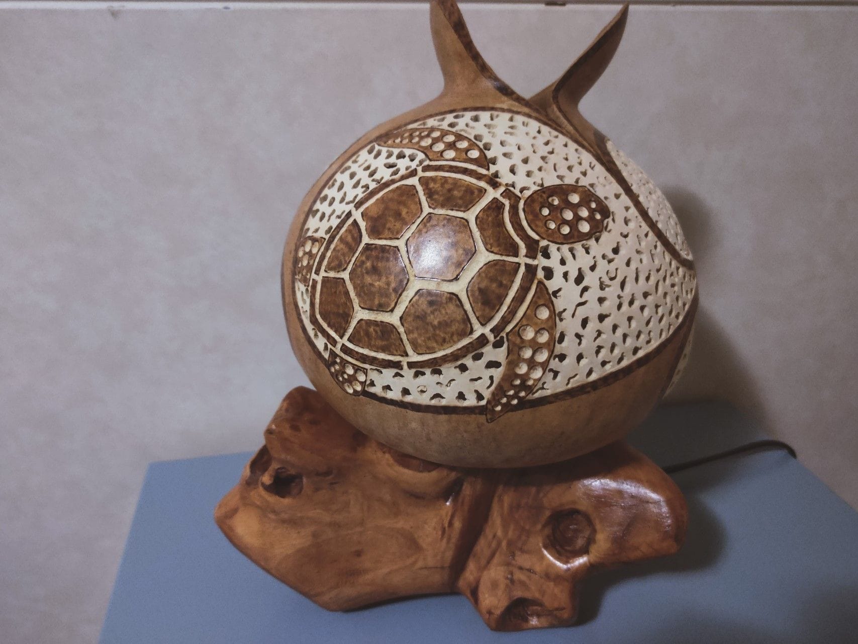 Tortuga